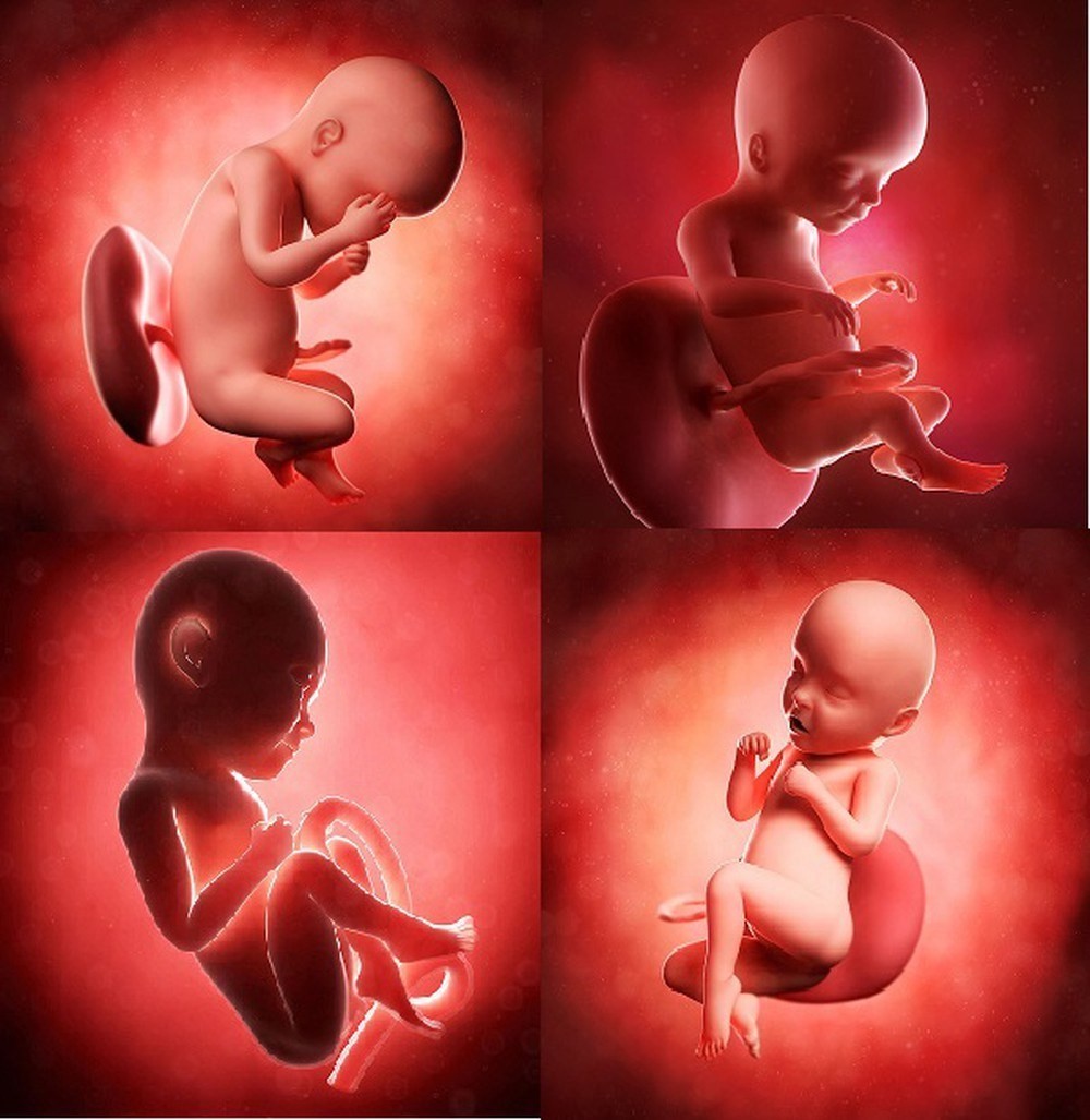Sổ mũi kèm sốt cao đặc biệt nguy hiểm với thai nhi