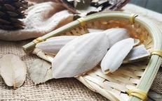 5 vị thuốc hỗ trợ giảm trào ngược dạ dày